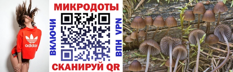 Псилоцибиновые грибы MAGIC MUSHROOMS  Устюжна 